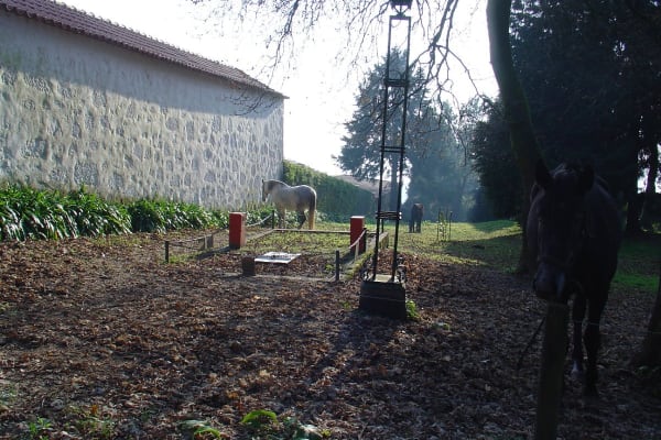 Foto 55 da atividade Galeria de Fotos