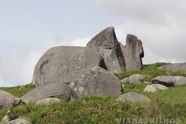 Foto 145 da atividade Galeria de Fotos