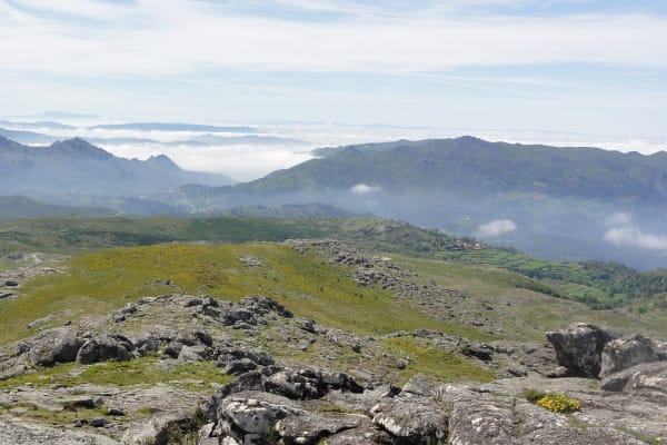 Foto 140 da atividade Galeria de Fotos