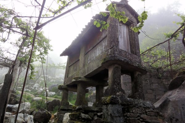 Foto 135 da atividade Galeria de Fotos