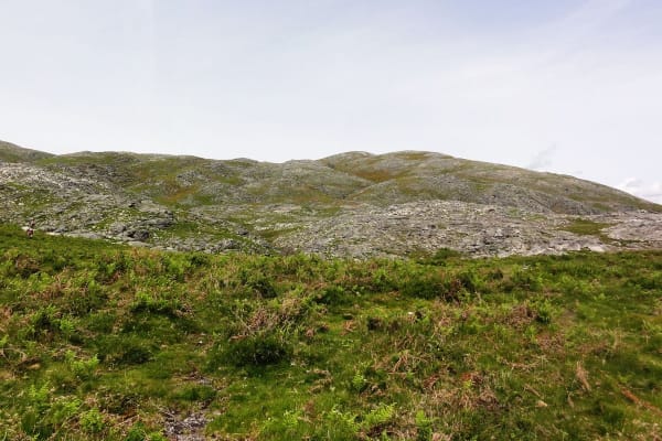 Foto 132 da atividade Galeria de Fotos