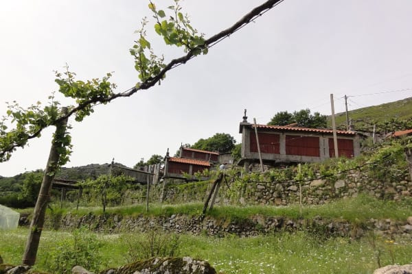 Foto 131 da atividade Galeria de Fotos