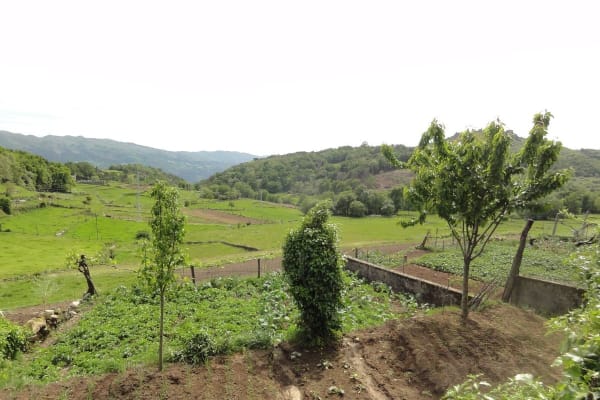 Foto 124 da atividade Galeria de Fotos