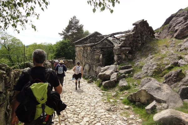 Foto 110 da atividade Galeria de Fotos