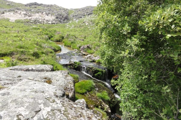 Foto 104 da atividade Galeria de Fotos