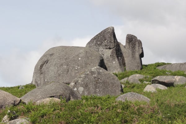 Foto 92 da atividade Galeria de Fotos