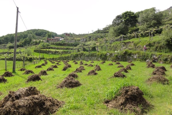 Foto 88 da atividade Galeria de Fotos