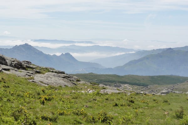 Foto 39 da atividade Galeria de Fotos