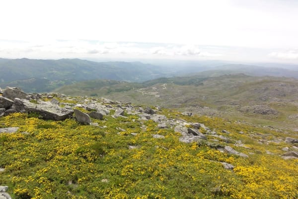 Foto 38 da atividade Galeria de Fotos