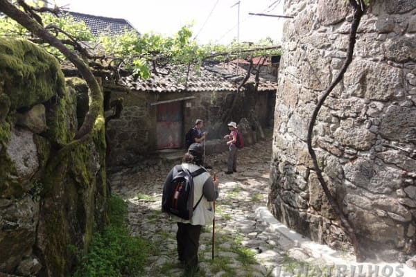 Foto 18 da atividade Galeria de Fotos