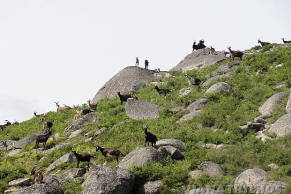 Foto 8 da atividade Galeria de Fotos