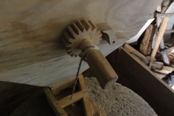 Foto 127 da atividade Galeria de Fotos