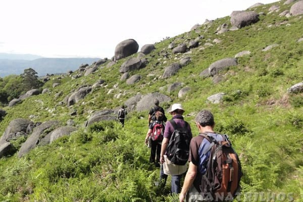 Foto 1 da atividade Galeria de Fotos