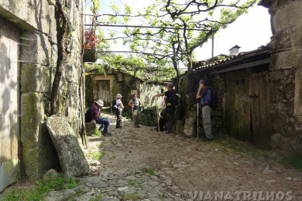 Foto 2 da atividade Galeria de Fotos