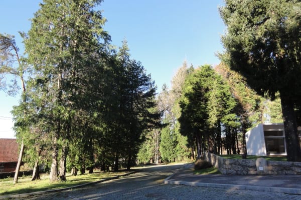 Foto 125 da atividade Galeria de Fotos