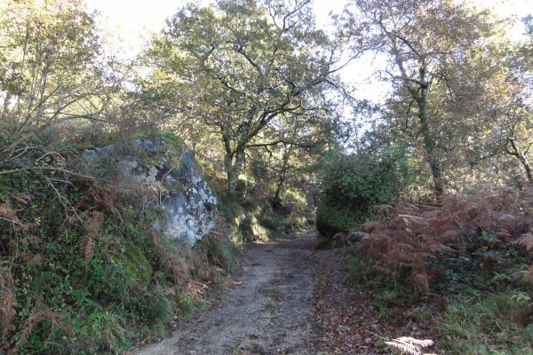 Foto 119 da atividade Galeria de Fotos