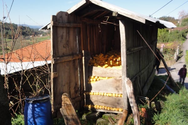 Foto 116 da atividade Galeria de Fotos