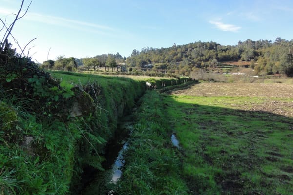 Foto 107 da atividade Galeria de Fotos