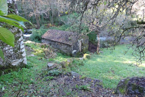 Foto 104 da atividade Galeria de Fotos