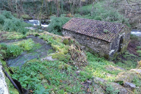 Foto 92 da atividade Galeria de Fotos