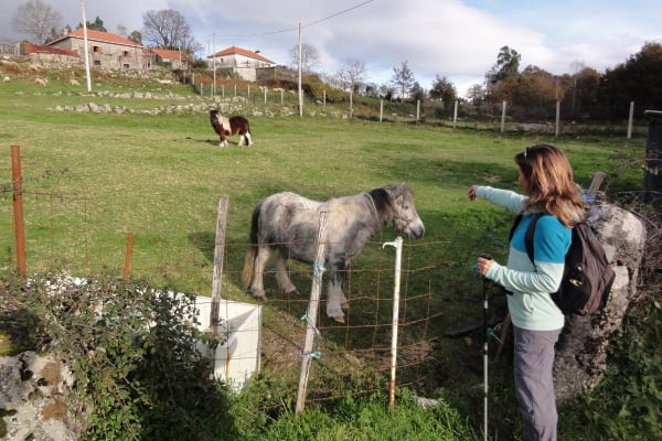 Foto 84 da atividade Galeria de Fotos