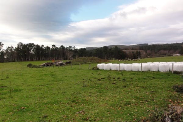 Foto 80 da atividade Galeria de Fotos