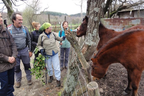 Foto 78 da atividade Galeria de Fotos