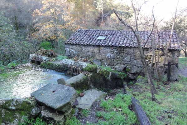 Foto 74 da atividade Galeria de Fotos