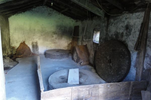 Foto 75 da atividade Galeria de Fotos