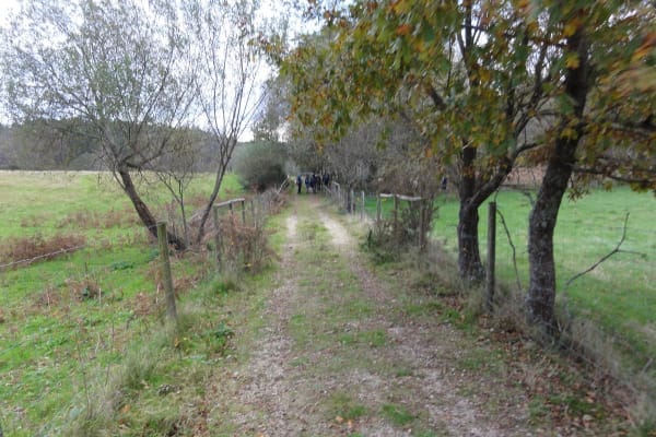 Foto 70 da atividade Galeria de Fotos