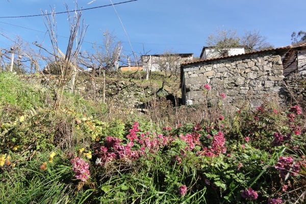 Foto 63 da atividade Galeria de Fotos