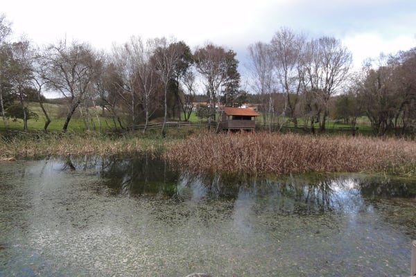 Foto 22 da atividade Galeria de Fotos