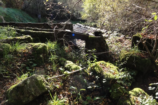 Foto 16 da atividade Galeria de Fotos