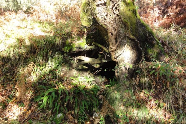 Foto 11 da atividade Galeria de Fotos