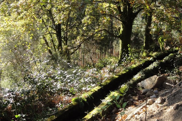 Foto 6 da atividade Galeria de Fotos