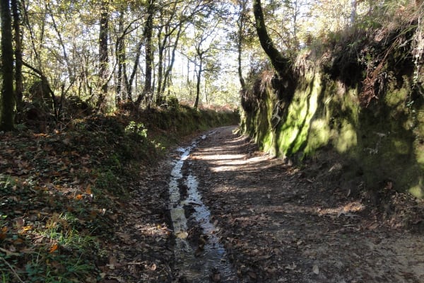 Foto 4 da atividade Galeria de Fotos