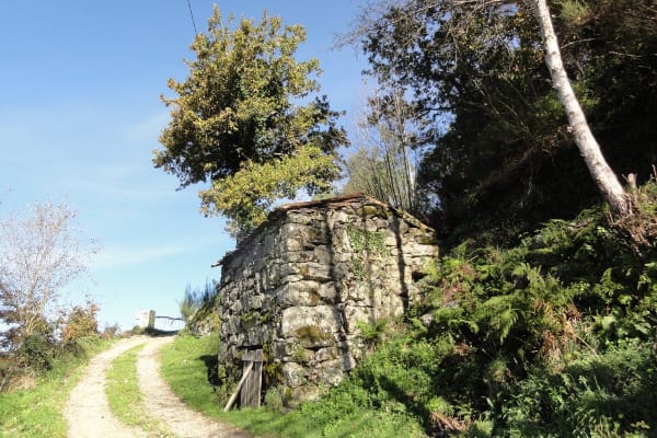 Foto 2 da atividade Galeria de Fotos