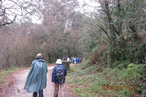 Foto 64 da atividade Galeria de Fotos