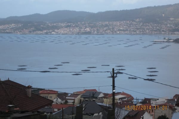 Foto 60 da atividade Galeria de Fotos