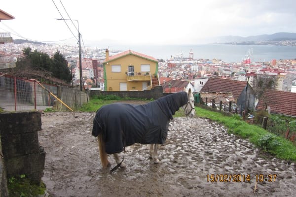 Foto 54 da atividade Galeria de Fotos