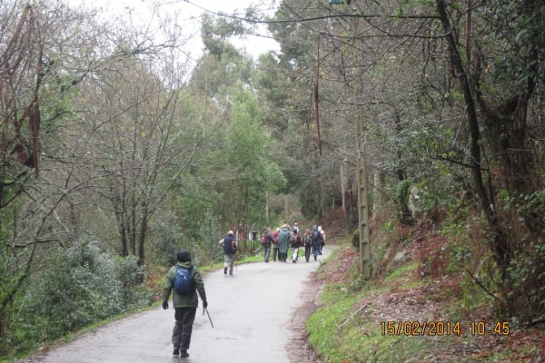 Foto 49 da atividade Galeria de Fotos