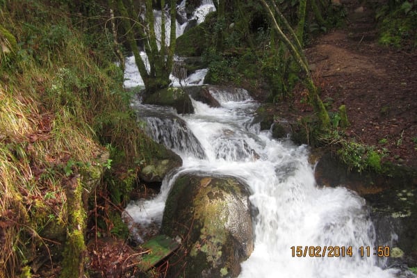 Foto 6 da atividade Galeria de Fotos