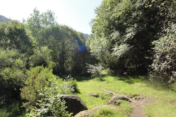 Foto 62 da atividade Galeria de Fotos