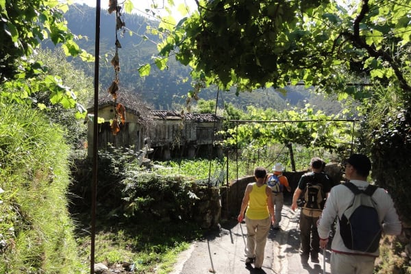 Foto 52 da atividade Galeria de Fotos