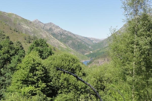 Foto 48 da atividade Galeria de Fotos