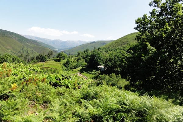 Foto 36 da atividade Galeria de Fotos