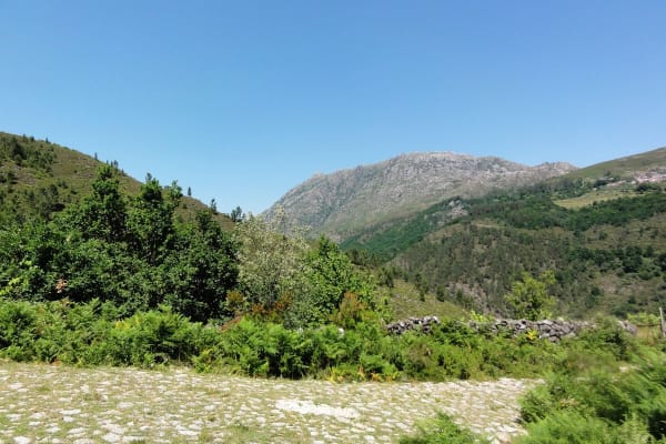 Foto 33 da atividade Galeria de Fotos