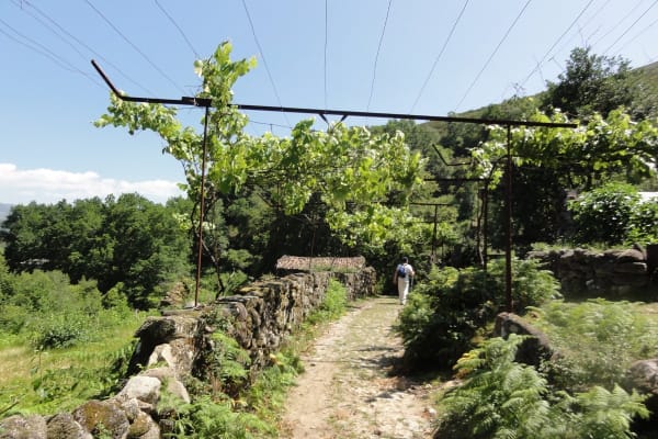 Foto 31 da atividade Galeria de Fotos