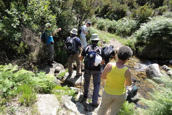 Foto 25 da atividade Galeria de Fotos