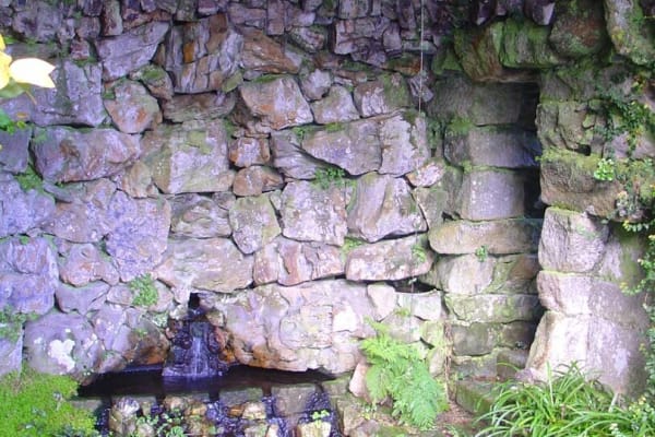 Foto 88 da atividade Galeria de Fotos